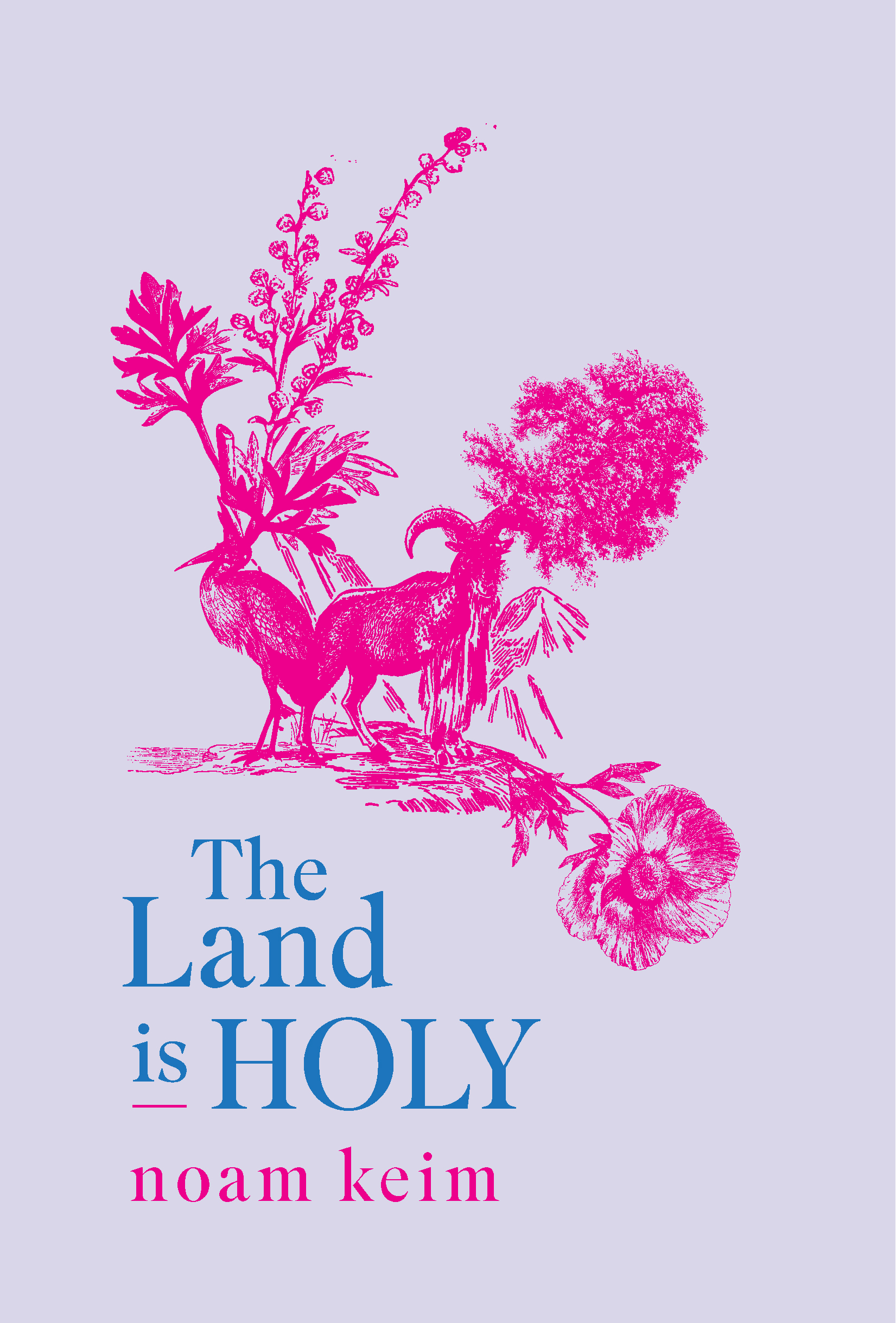 The Land is Holy by noam keim